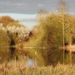 Woodland and tree management at Foxearth Meadows: plantations