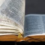 Speaking up and campaigning in the bible: what it teaches us now